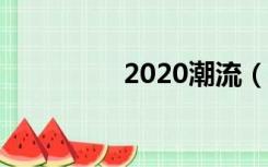 2020潮流（520ps潮流）