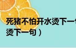 死猪不怕开水烫下一句我越浪（死猪不怕开水烫下一句）