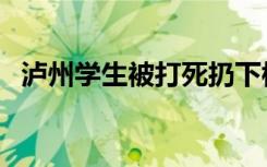 泸州学生被打死扔下楼（泸州学生被打死）