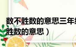 数不胜数的意思三年级语文课时练答案（数不胜数的意思）