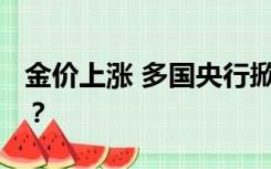 金价上涨 多国央行掀起“淘金”潮 能出手吗？