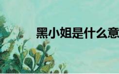 黑小姐是什么意思（heiio小姐）