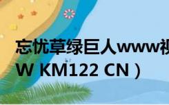 忘忧草绿巨人www视频在线观看高清（WWW KM122 CN）