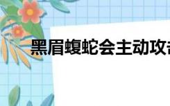 黑眉蝮蛇会主动攻击人吗（黑眉蝮蛇）