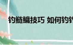 钓鲢鳙技巧 如何钓钓鲢鳙（钓鲢鳙技巧）