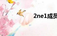 2ne1成员（2en1）