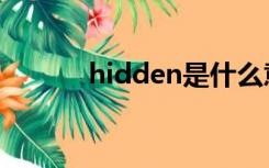 hidden是什么意思（hidden）