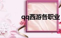 qq西游各职业（qq西游加点）