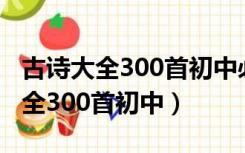 古诗大全300首初中必背古诗带拼音（古诗大全300首初中）