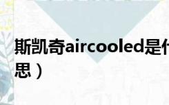 斯凯奇aircooled是什么意思（oled是什么意思）