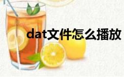 dat文件怎么播放（dat文件播放器）