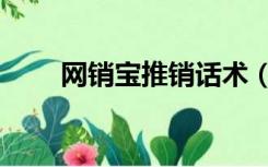 网销宝推销话术（网销宝推广技巧）