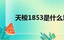 天梭1853是什么意思（天梭1853）