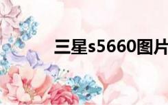 三星s5660图片（三星 s5660）