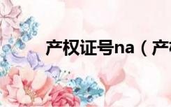 产权证号na（产权证号码是哪个）