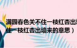 满园春色关不住一枝红杏出墙来的意思体会（满园春色关不住一枝红杏出墙来的意思）