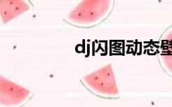 dj闪图动态壁纸（dj闪图）