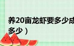 养20亩龙虾要多少成本（养殖20亩龙虾可赚多少）