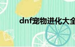 dnf宠物进化大全（dnf宠物进化）