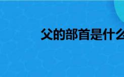 父的部首是什么部（父的部首）