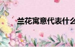 兰花寓意代表什么意思（兰花寓意）