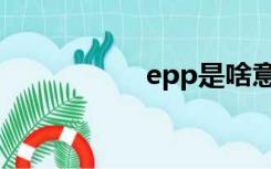 epp是啥意思（epp）