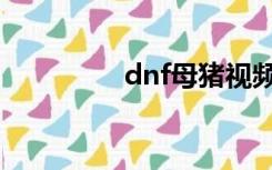 dnf母猪视频（dnf母猪）