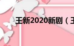 王新2020新剧（王新演过的电视剧）