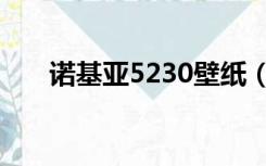 诺基亚5230壁纸（诺基亚5233壁纸）