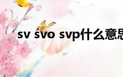 sv svo svp什么意思（svp是什么意思）