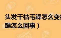 头发干枯毛躁怎么变得柔顺光滑（头发干枯毛躁怎么回事）