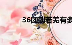 36团到若羌有多少公里（36团）