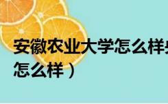 安徽农业大学怎么样央视播放（安徽农业大学怎么样）