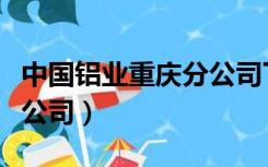 中国铝业重庆分公司丁安平（中国铝业重庆分公司）