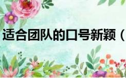 适合团队的口号新颖（团队口号大全10个字）