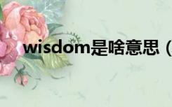 wisdom是啥意思（wisdom什么意思）