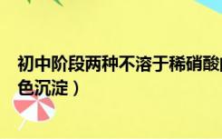 初中阶段两种不溶于稀硝酸的白色沉淀（不溶于稀硝酸的白色沉淀）