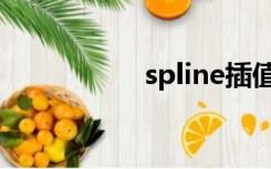 spline插值（spline）