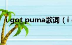 i got puma歌词（i got puma什么意思）