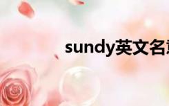 sundy英文名意思（sundy）