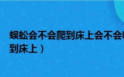 蜈蚣会不会爬到床上会不会咬人在学校宿舍（蜈蚣会不会爬到床上）