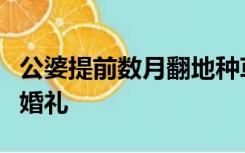 公婆提前数月翻地种草，为儿子儿媳实现草坪婚礼