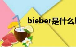 bieber是什么牌子（bieber）