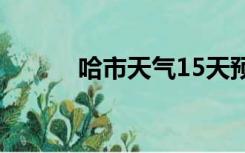 哈市天气15天预报（哈市天气）