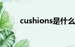 cushions是什么意思（cushion）