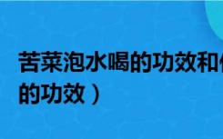 苦菜泡水喝的功效和作用及禁忌（苦菜泡水喝的功效）