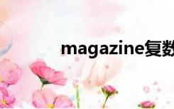 magazine复数（magazine）