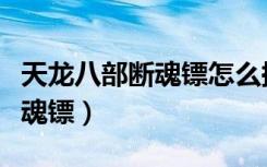 天龙八部断魂镖怎么换冰魄神针（天龙八部断魂镖）