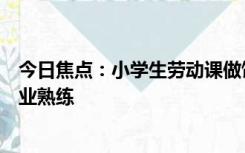 今日焦点：小学生劳动课做饭出锅就被抢光了：手法相当专业熟练