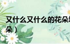 又什么又什么的花朵填字（又什么又什么的花朵）